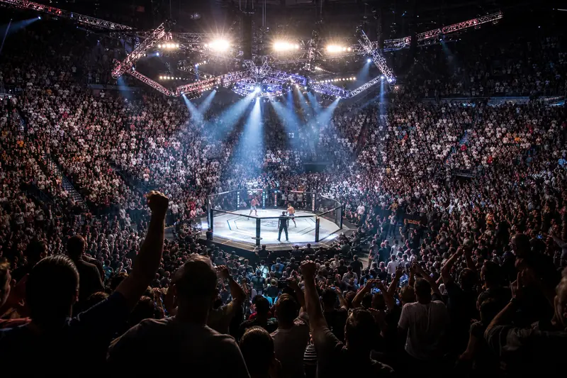 UFC and boxing arena